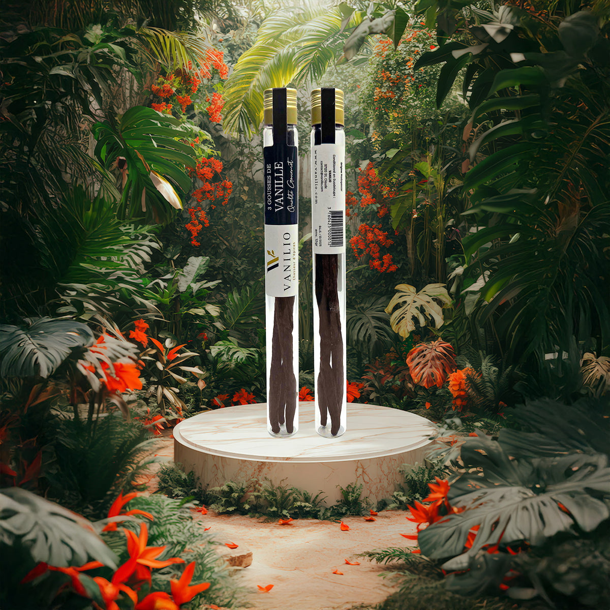 Vanille Bourbon