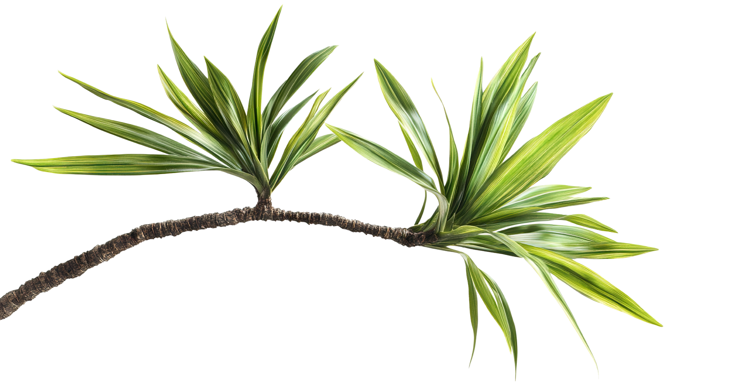 Tree branch separator